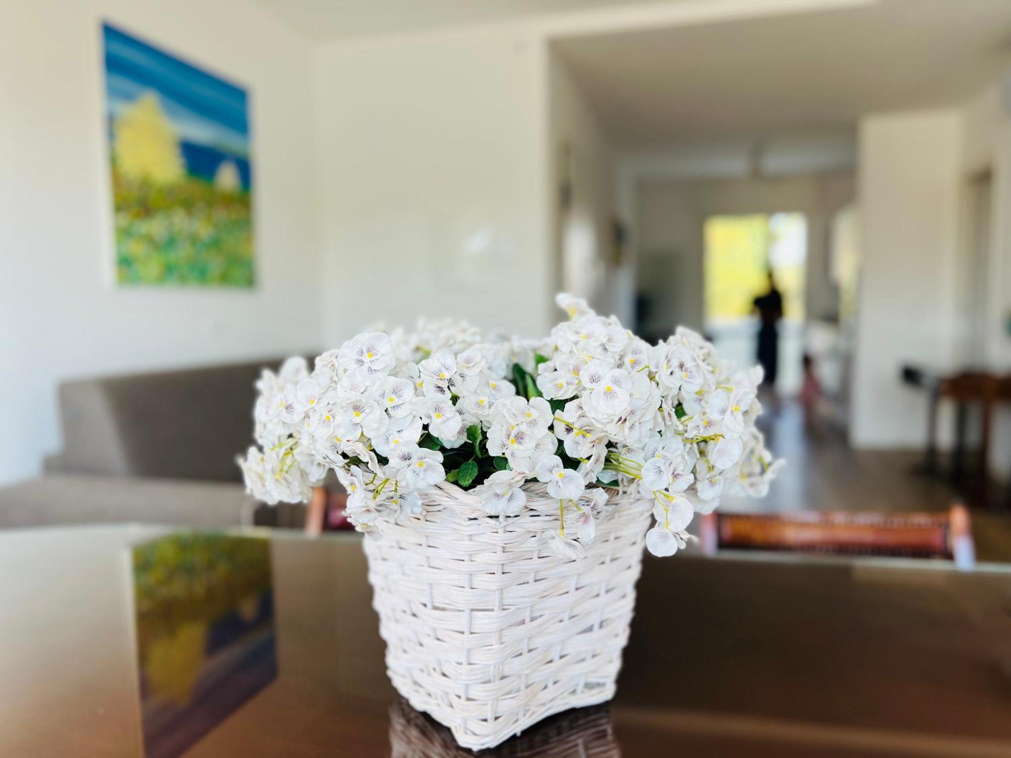 Apartament Padova Sarmeola Zewnętrze zdjęcie